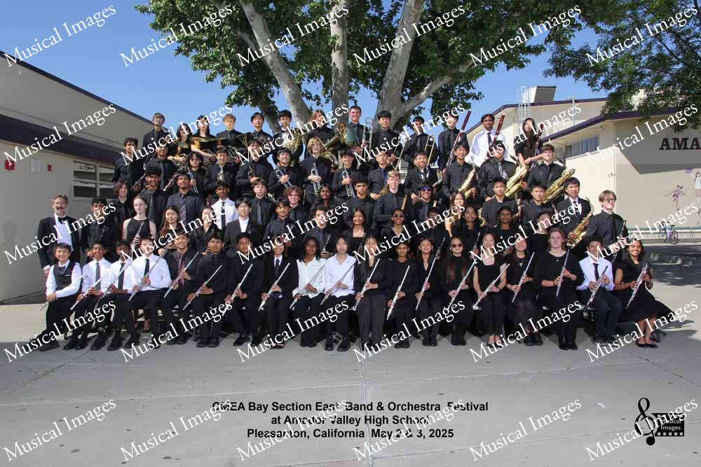 Musical Images